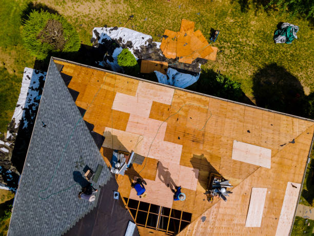 Best Storm Damage Roof Repair  in Thornton, CO